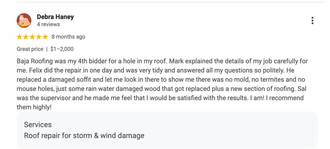 Debra Haney — Google Review for Baja Roofing